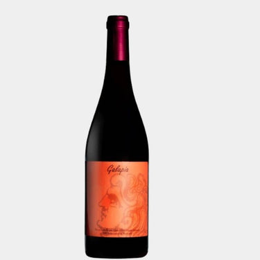 Bouteille de vin rouge naturel Galapia 2021, bio du Gard, domaine Mouressipe.